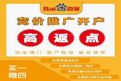 百度竞价代运营公司成功案例解析